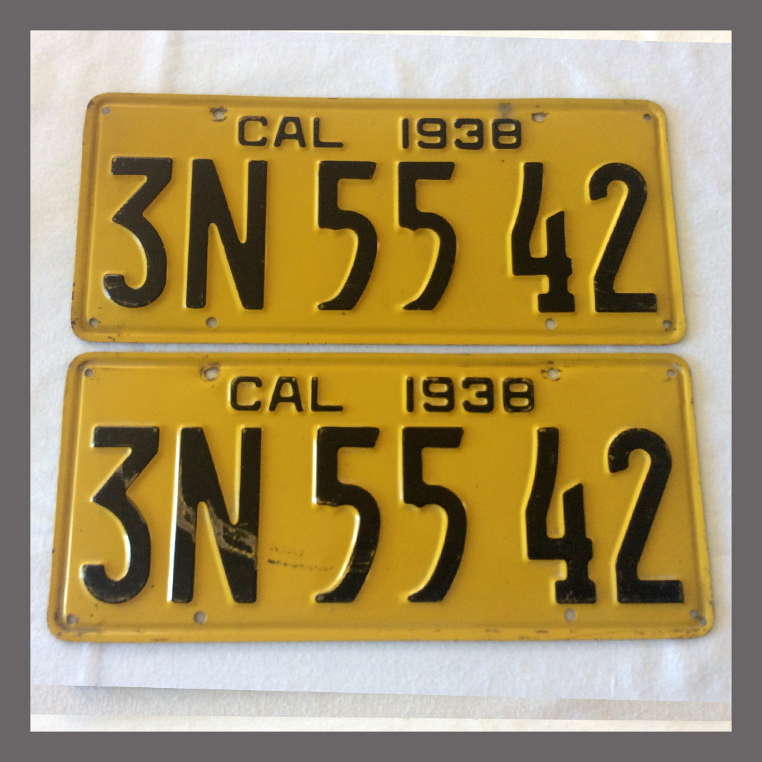 NEW! Yellow Month & Year Tag Sticker Holder California YOM License Plates